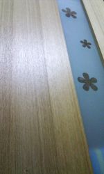 dvere a zarubne 058 dvere a zarubne 058